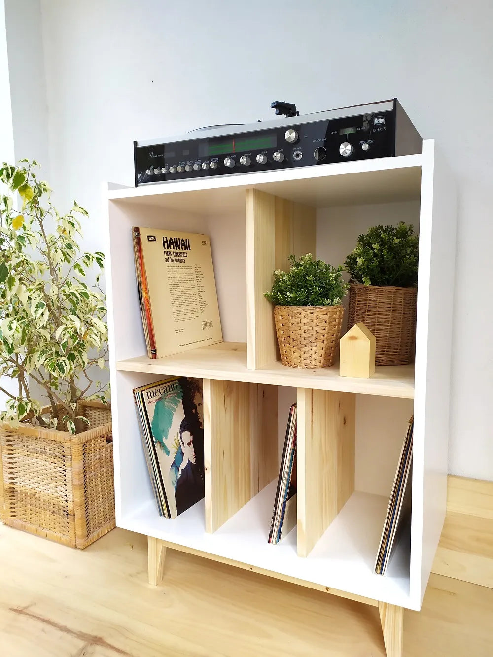 Mueble para vinilos – Maxi Fever