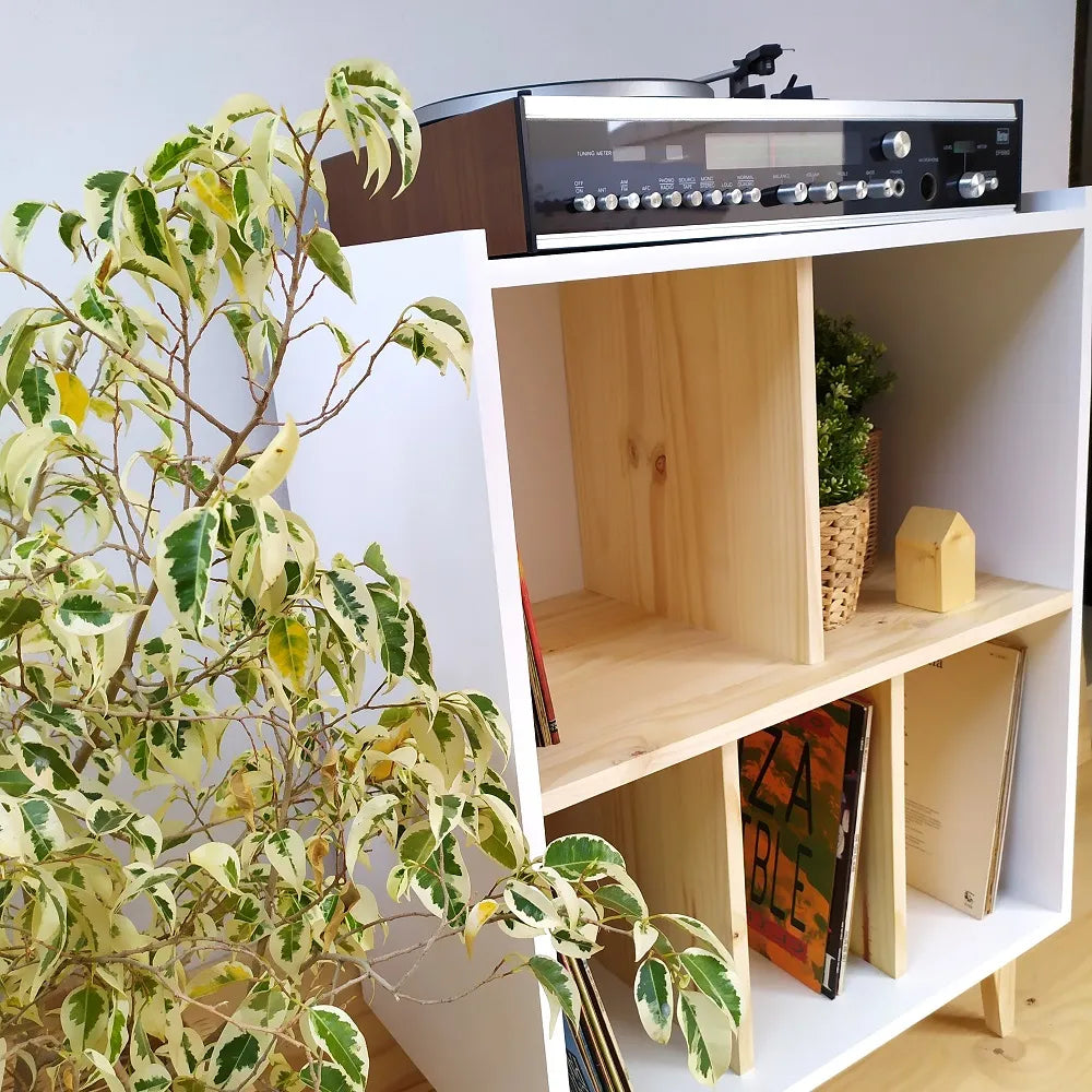Mueble para vinilos – Maxi Fever